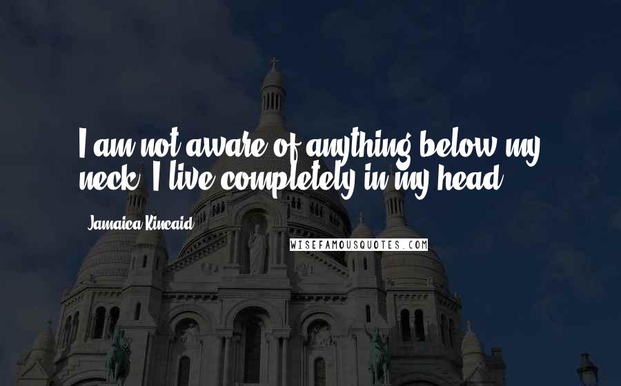 Jamaica Kincaid Quotes: I am not aware of anything below my neck. I live completely in my head.