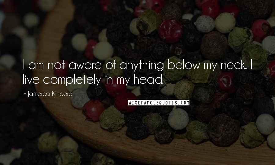 Jamaica Kincaid Quotes: I am not aware of anything below my neck. I live completely in my head.