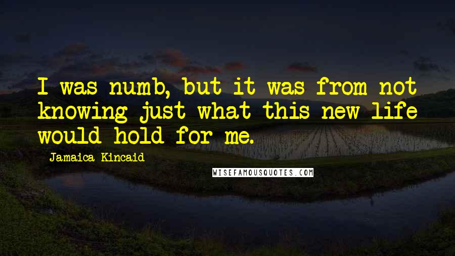 Jamaica Kincaid Quotes: I was numb, but it was from not knowing just what this new life would hold for me.