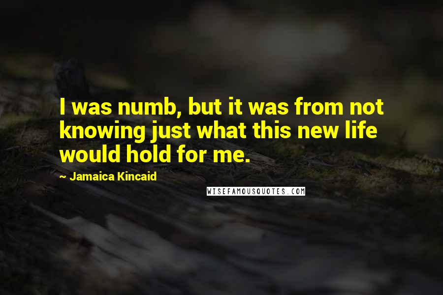 Jamaica Kincaid Quotes: I was numb, but it was from not knowing just what this new life would hold for me.