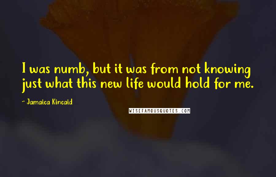 Jamaica Kincaid Quotes: I was numb, but it was from not knowing just what this new life would hold for me.