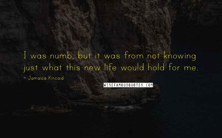 Jamaica Kincaid Quotes: I was numb, but it was from not knowing just what this new life would hold for me.