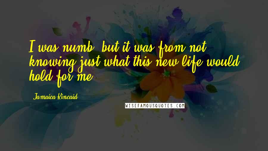 Jamaica Kincaid Quotes: I was numb, but it was from not knowing just what this new life would hold for me.