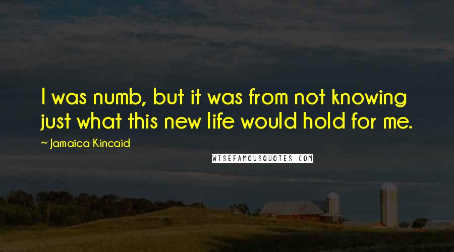 Jamaica Kincaid Quotes: I was numb, but it was from not knowing just what this new life would hold for me.