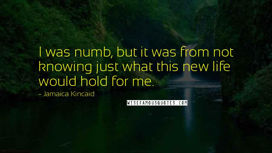 Jamaica Kincaid Quotes: I was numb, but it was from not knowing just what this new life would hold for me.