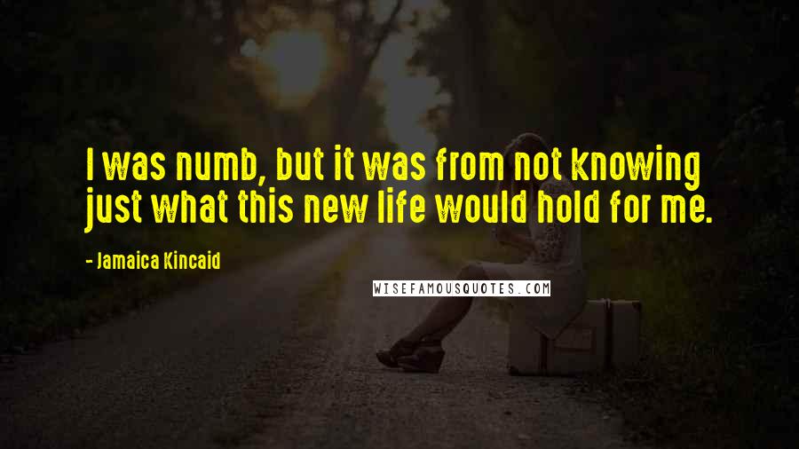 Jamaica Kincaid Quotes: I was numb, but it was from not knowing just what this new life would hold for me.