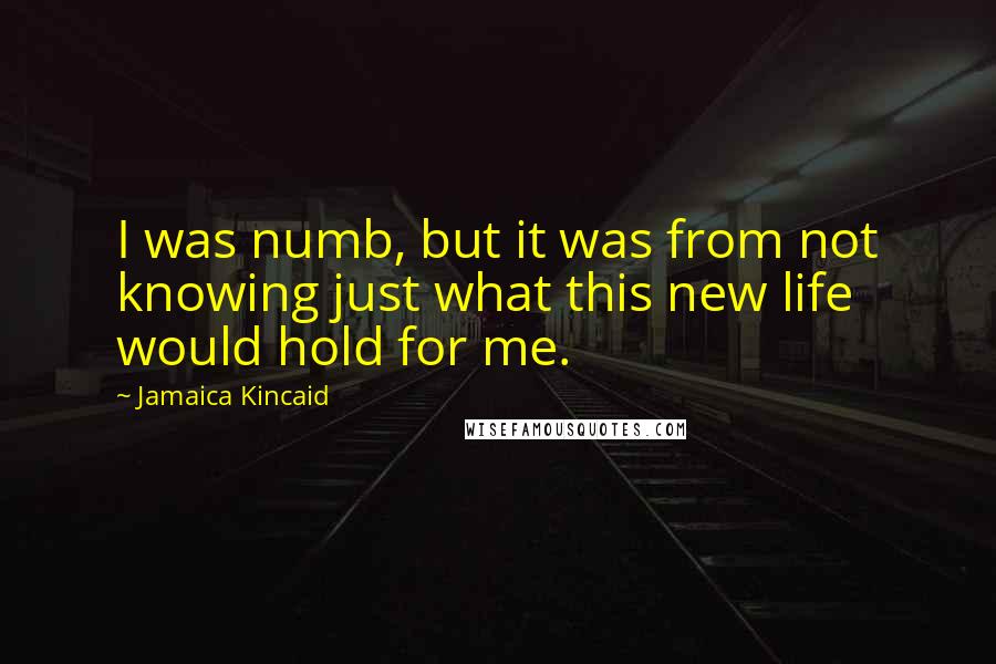 Jamaica Kincaid Quotes: I was numb, but it was from not knowing just what this new life would hold for me.