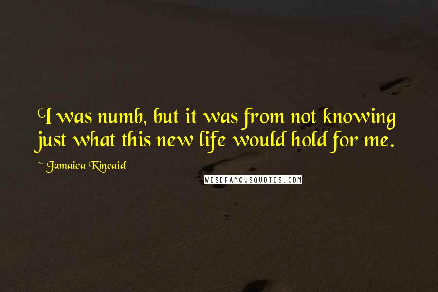 Jamaica Kincaid Quotes: I was numb, but it was from not knowing just what this new life would hold for me.