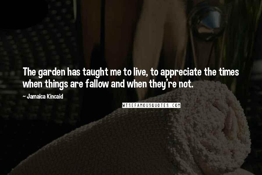 Jamaica Kincaid Quotes: The garden has taught me to live, to appreciate the times when things are fallow and when they're not.