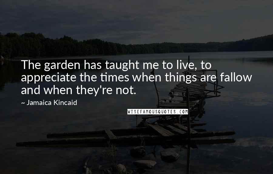 Jamaica Kincaid Quotes: The garden has taught me to live, to appreciate the times when things are fallow and when they're not.