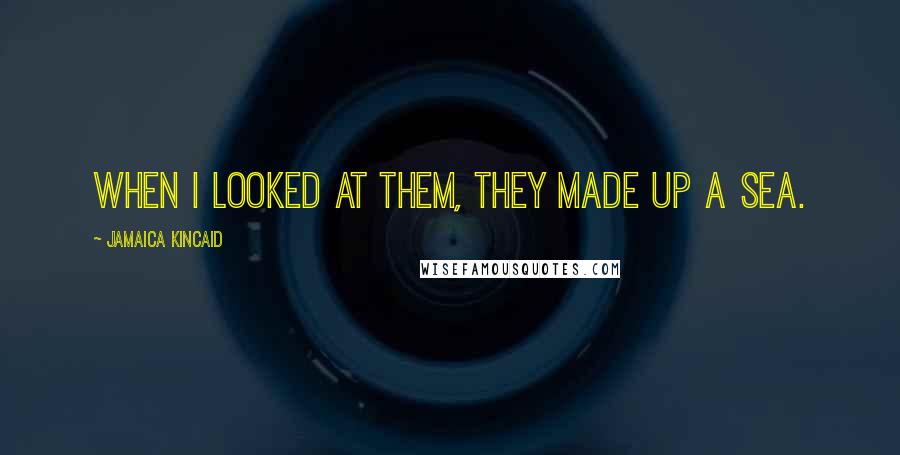 Jamaica Kincaid Quotes: When I looked at them, they made up a sea.