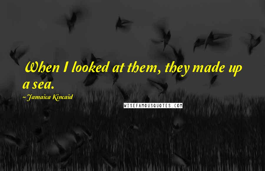 Jamaica Kincaid Quotes: When I looked at them, they made up a sea.