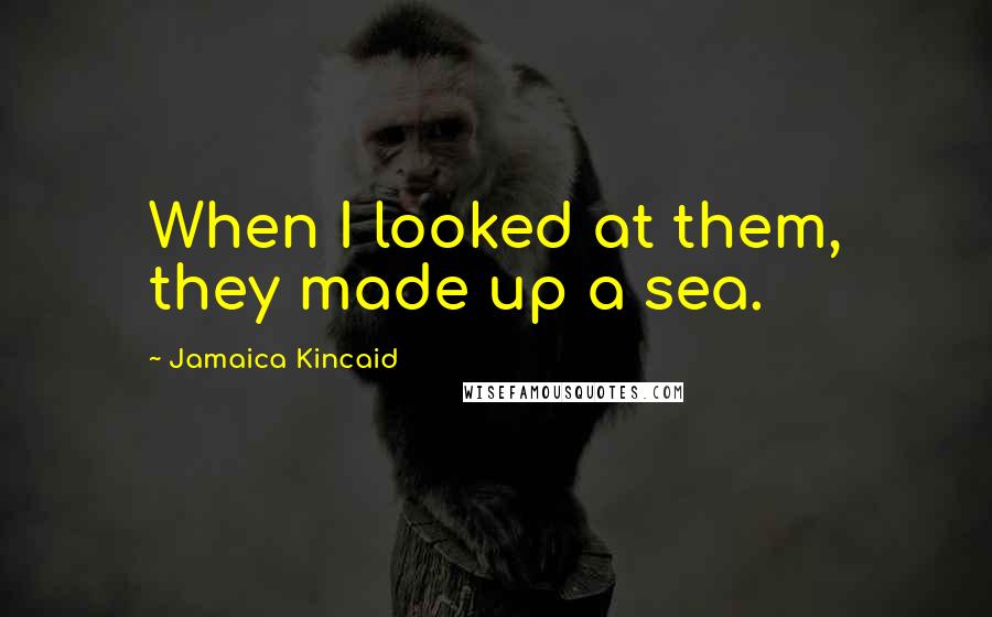 Jamaica Kincaid Quotes: When I looked at them, they made up a sea.