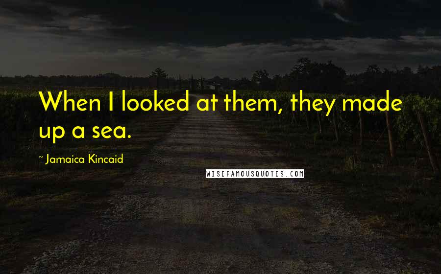 Jamaica Kincaid Quotes: When I looked at them, they made up a sea.