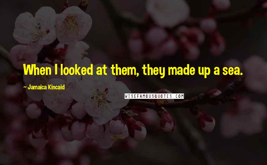 Jamaica Kincaid Quotes: When I looked at them, they made up a sea.