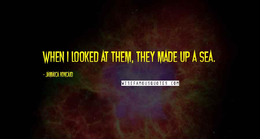 Jamaica Kincaid Quotes: When I looked at them, they made up a sea.