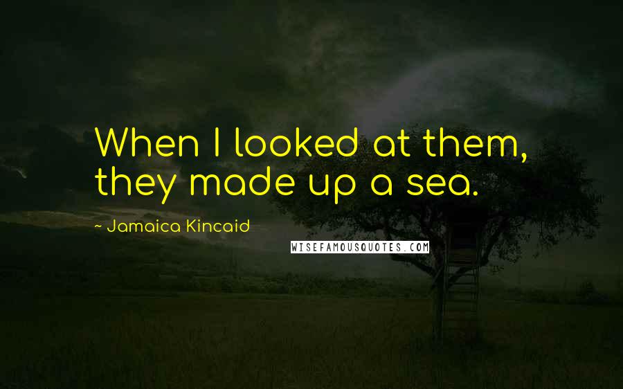 Jamaica Kincaid Quotes: When I looked at them, they made up a sea.