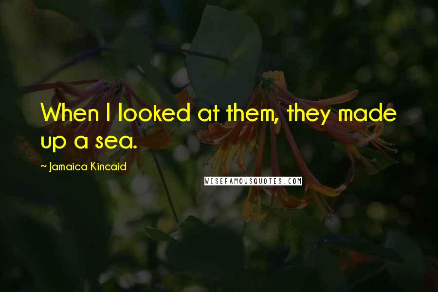 Jamaica Kincaid Quotes: When I looked at them, they made up a sea.