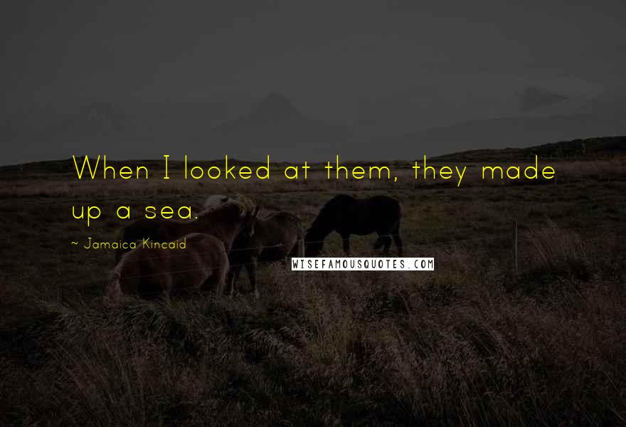 Jamaica Kincaid Quotes: When I looked at them, they made up a sea.