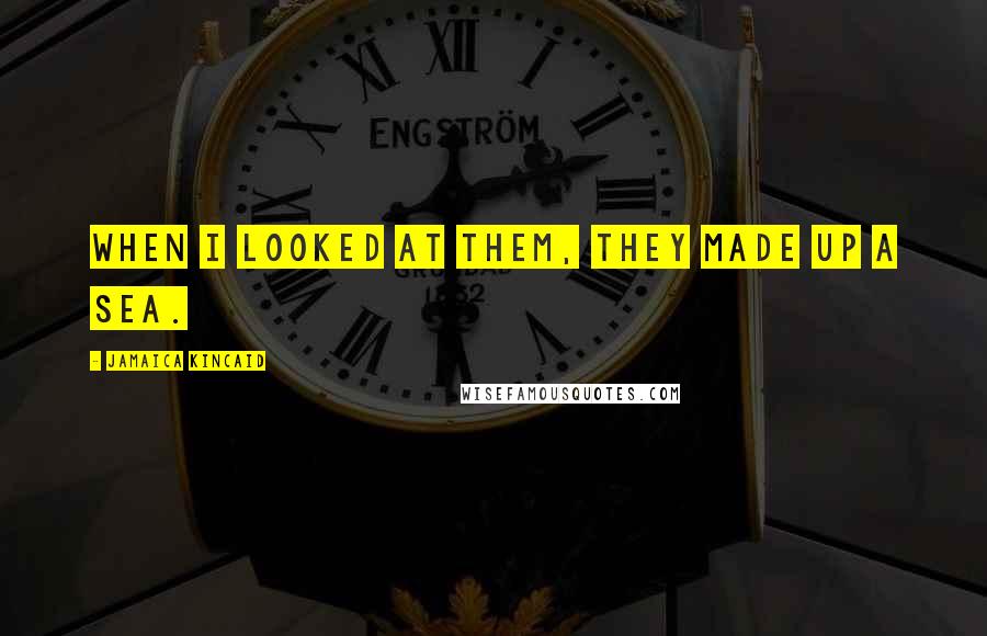 Jamaica Kincaid Quotes: When I looked at them, they made up a sea.