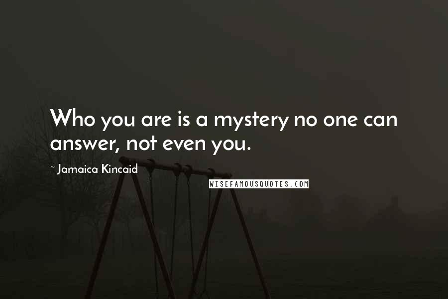 Jamaica Kincaid Quotes: Who you are is a mystery no one can answer, not even you.