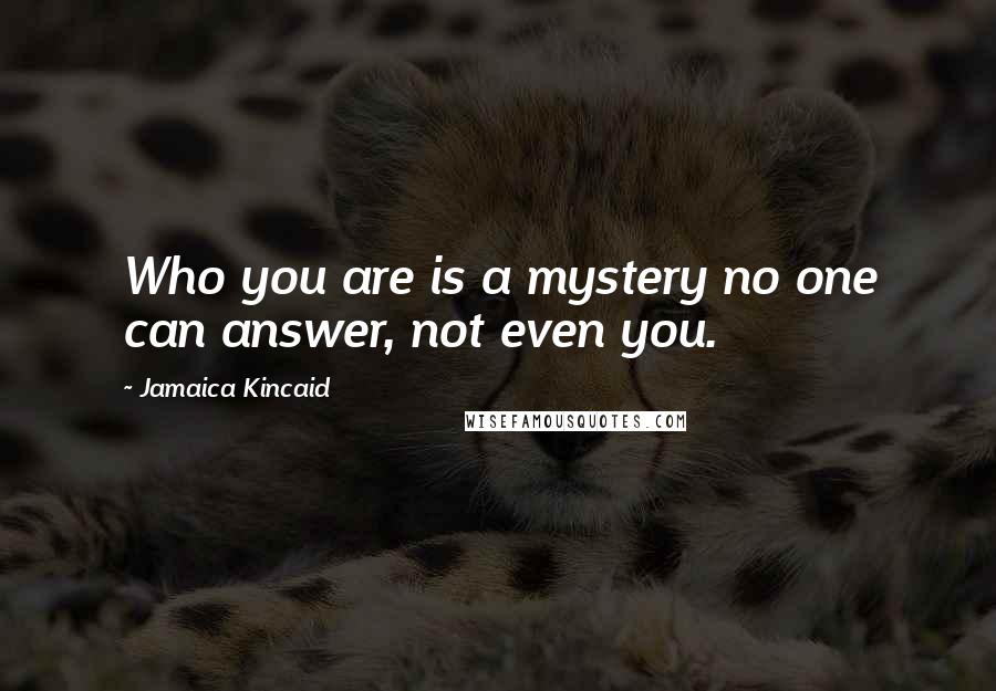 Jamaica Kincaid Quotes: Who you are is a mystery no one can answer, not even you.