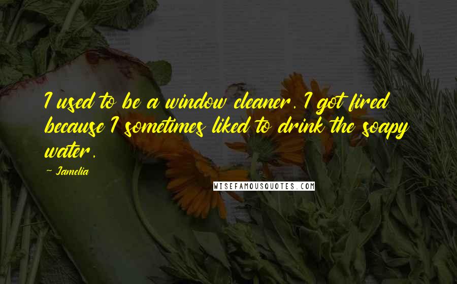 Jamelia Quotes: I used to be a window cleaner. I got fired because I sometimes liked to drink the soapy water.