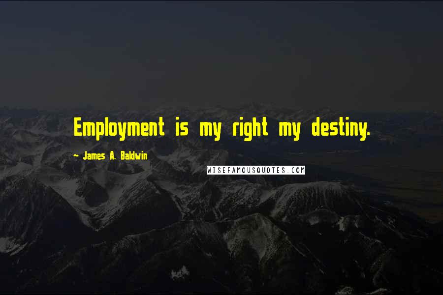 James A. Baldwin Quotes: Employment is my right my destiny.