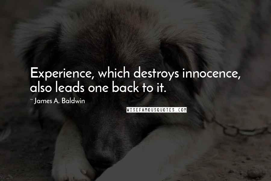 James A. Baldwin Quotes: Experience, which destroys innocence, also leads one back to it.