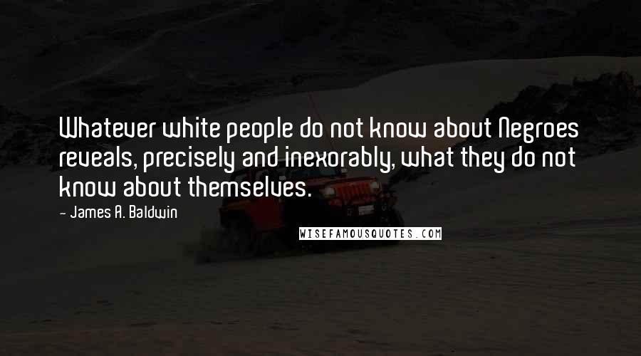 James A. Baldwin Quotes: Whatever white people do not know about Negroes reveals, precisely and inexorably, what they do not know about themselves.