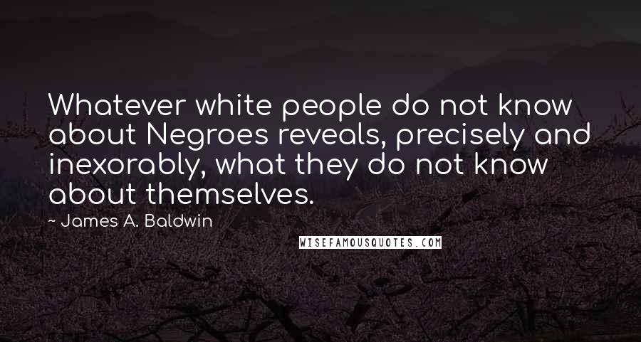 James A. Baldwin Quotes: Whatever white people do not know about Negroes reveals, precisely and inexorably, what they do not know about themselves.