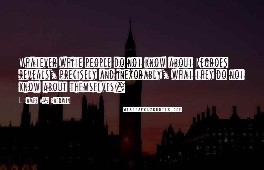 James A. Baldwin Quotes: Whatever white people do not know about Negroes reveals, precisely and inexorably, what they do not know about themselves.