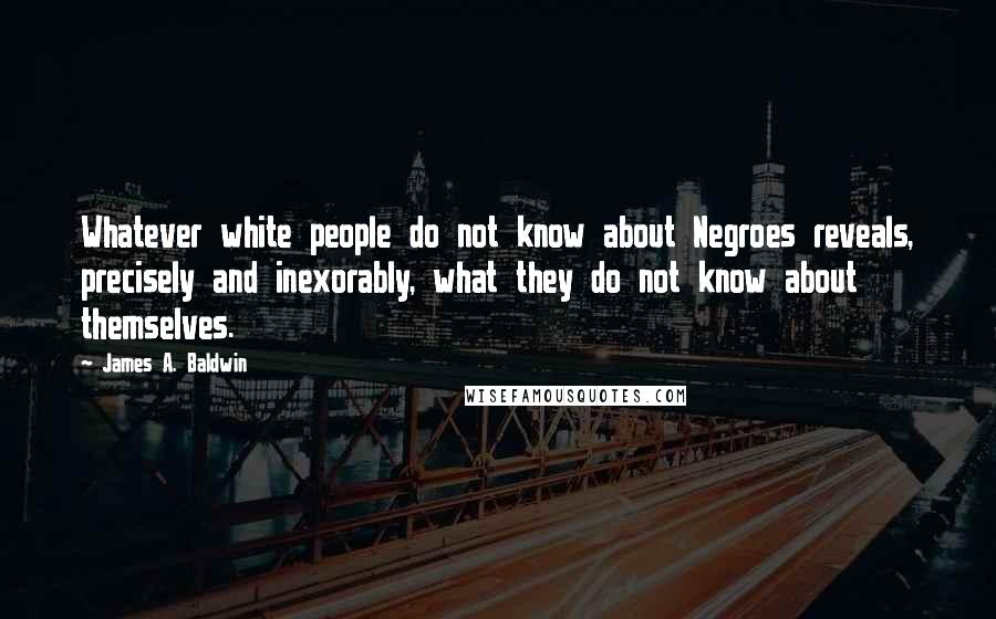 James A. Baldwin Quotes: Whatever white people do not know about Negroes reveals, precisely and inexorably, what they do not know about themselves.