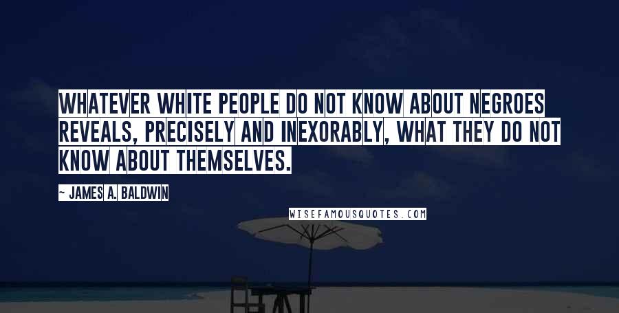 James A. Baldwin Quotes: Whatever white people do not know about Negroes reveals, precisely and inexorably, what they do not know about themselves.