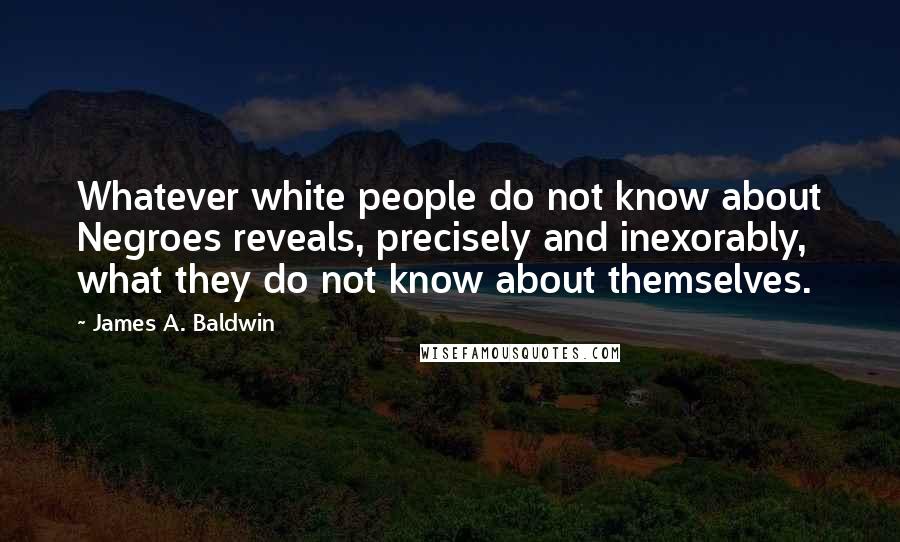 James A. Baldwin Quotes: Whatever white people do not know about Negroes reveals, precisely and inexorably, what they do not know about themselves.
