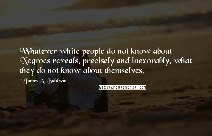 James A. Baldwin Quotes: Whatever white people do not know about Negroes reveals, precisely and inexorably, what they do not know about themselves.