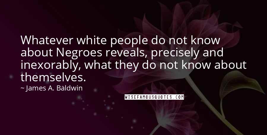 James A. Baldwin Quotes: Whatever white people do not know about Negroes reveals, precisely and inexorably, what they do not know about themselves.