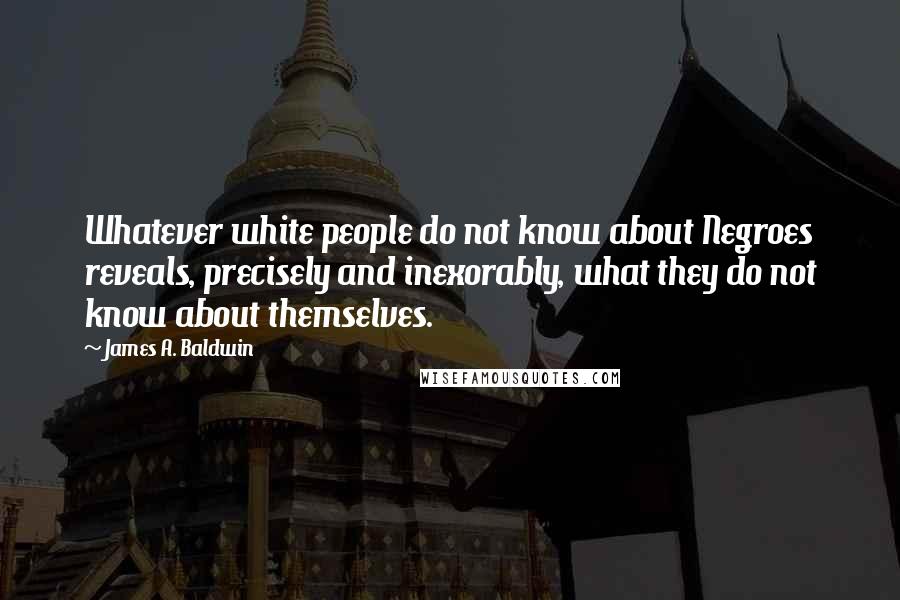 James A. Baldwin Quotes: Whatever white people do not know about Negroes reveals, precisely and inexorably, what they do not know about themselves.