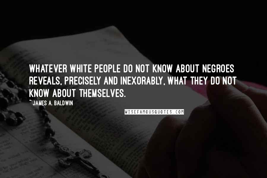 James A. Baldwin Quotes: Whatever white people do not know about Negroes reveals, precisely and inexorably, what they do not know about themselves.