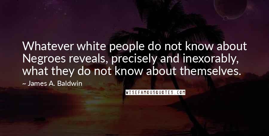 James A. Baldwin Quotes: Whatever white people do not know about Negroes reveals, precisely and inexorably, what they do not know about themselves.
