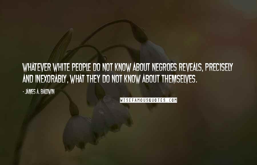 James A. Baldwin Quotes: Whatever white people do not know about Negroes reveals, precisely and inexorably, what they do not know about themselves.