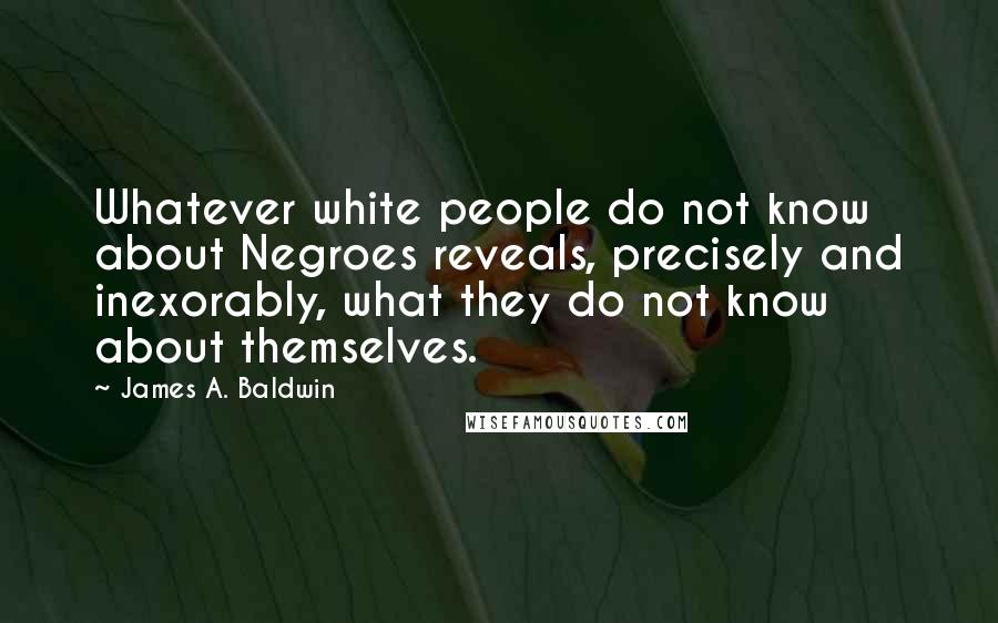 James A. Baldwin Quotes: Whatever white people do not know about Negroes reveals, precisely and inexorably, what they do not know about themselves.