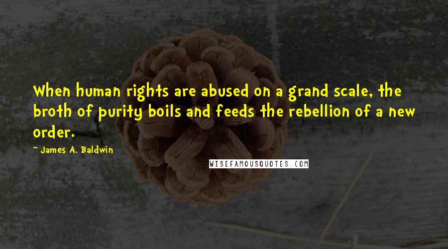 James A. Baldwin Quotes: When human rights are abused on a grand scale, the broth of purity boils and feeds the rebellion of a new order.