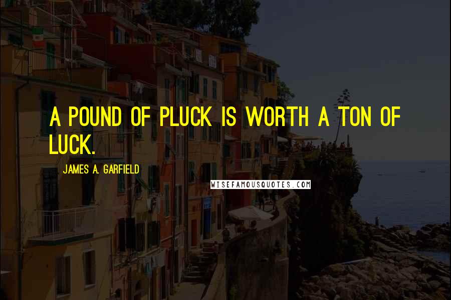 James A. Garfield Quotes: A pound of pluck is worth a ton of luck.