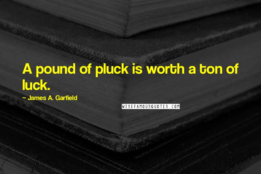 James A. Garfield Quotes: A pound of pluck is worth a ton of luck.