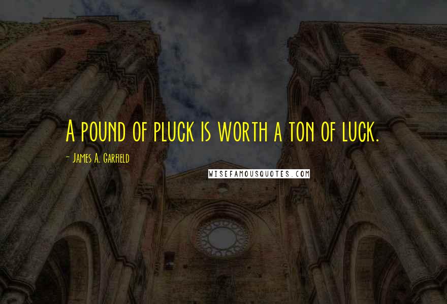 James A. Garfield Quotes: A pound of pluck is worth a ton of luck.