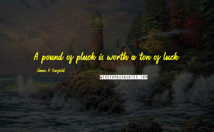 James A. Garfield Quotes: A pound of pluck is worth a ton of luck.