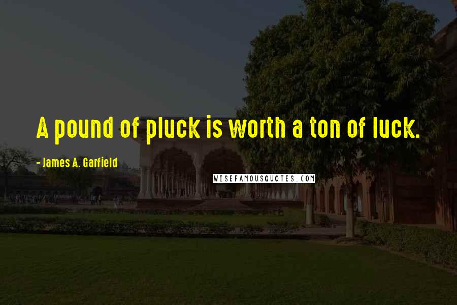 James A. Garfield Quotes: A pound of pluck is worth a ton of luck.