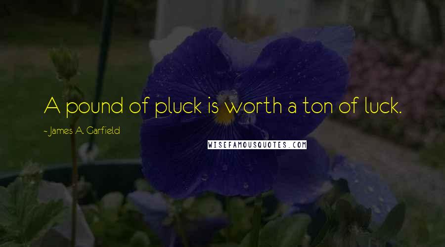 James A. Garfield Quotes: A pound of pluck is worth a ton of luck.