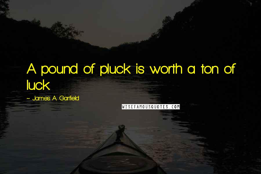 James A. Garfield Quotes: A pound of pluck is worth a ton of luck.